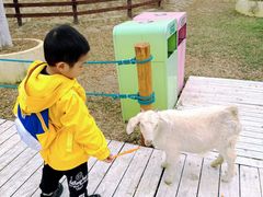 -盈香心动乐园
