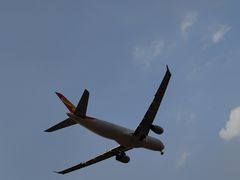 -空港花田景区
