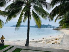 -日落吧·海景咖啡厅·餐酒吧·鸡尾酒·下午茶·乐队表演·浪漫夕阳·三亚文华东方酒店