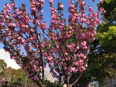 -永乐路-路侧停车场