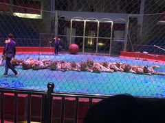 -西安秦岭野生动物园