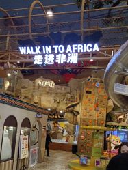 点击看大图 -卡通尼·Safari非洲探索乐园·生日会(金桥国际商业广场店)