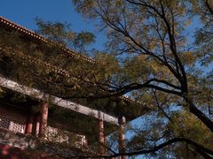 -故宫博物院(故宫)