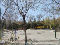 -大兴滨河森林公园