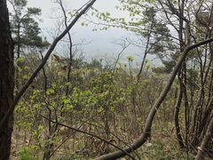 -紫金山索道-售票处