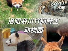 -栾川竹海野生动物园