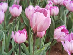 -渣打银行（中国）(北京分行)