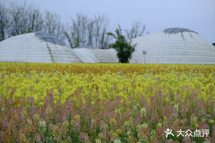 中国天府农业博览园图片