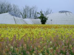 -中国天府农业博览园