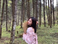 -石棉县孟获城