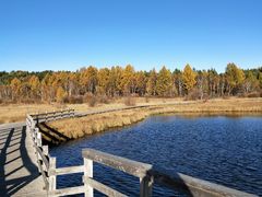 -塞罕坝国家级自然保护区