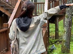 -洛阳白云山景区