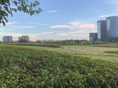 -白塘生态植物园