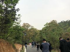 -灵岩山风景区