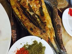 -新疆风味冷水鱼庄(友谊峰路店)