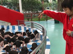-百万葵园