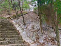 -漳州云洞岩风景区-瑞竹岩