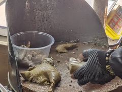 -清真·王家桶子鸡