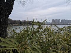 -高子水居