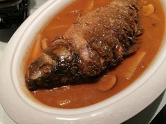 -阿五黄河大鲤鱼(纬三路店)