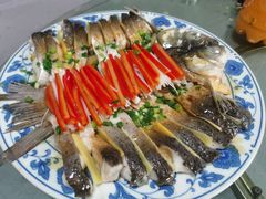 -里外里吃吧