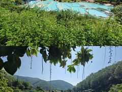 -十万大山布透温泉