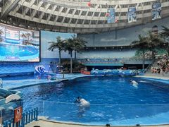 -海合安成都极地海洋公园