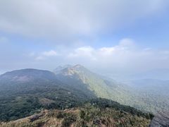 -广州市流溪河国家森林公园