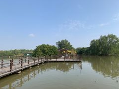 -大湾区中央湿地公园