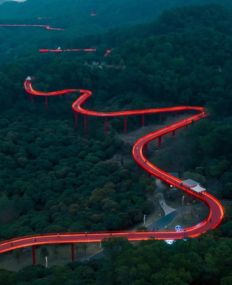 藏在深圳丛林秘境的空中栈道