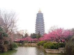 -圩墩遗址公园