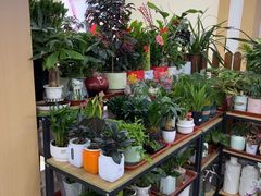 -北国超市(长江店)