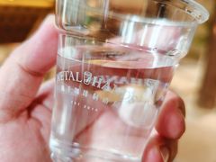 -Metal hands·铁手咖啡