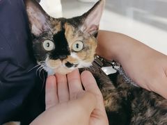 -中农国际动物医院24小时·猫科·骨科·急重症中心