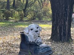 -黑龙江省森林植物园