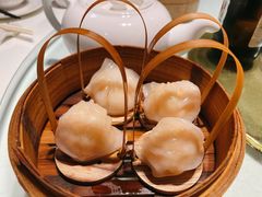 招牌虾饺皇-金鼎轩(亚运村店)