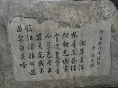 -湖南东洞庭湖国家级自然保护区