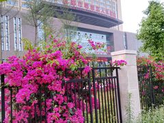 -成都市郫都区人民医院