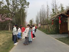-田园东方蜜桃村的田野营地
