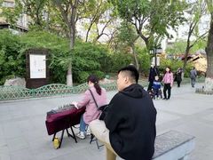 -文瀛公园