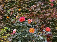 -青岛德国监狱旧址博物馆