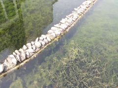 -苏州河梦清园环保主题公园