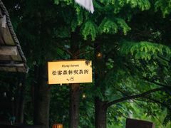 -四明山国家森林公园