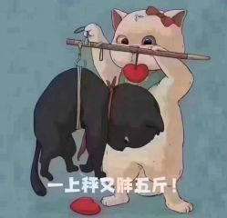 点击看大图 -香薇妮丝女子减肥院