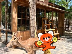 -南戴河国际娱乐中心