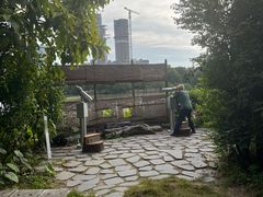 -华侨城湿地公园