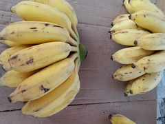 -南坛综合农贸市场