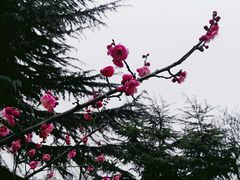 -白塘生态植物园