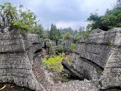-梭布垭石林景区