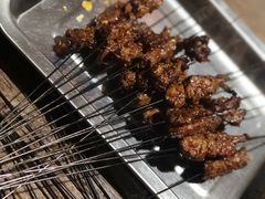 烤筋-清真·马峰烤肉(小学习北巷店)